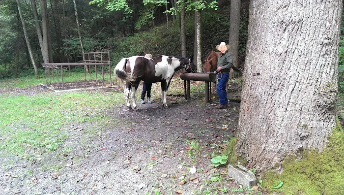 Round Bottom Campground 10