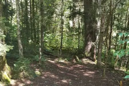 Backcountry Camp 42