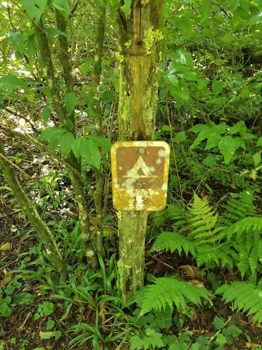 Backcountry Camp 42 6