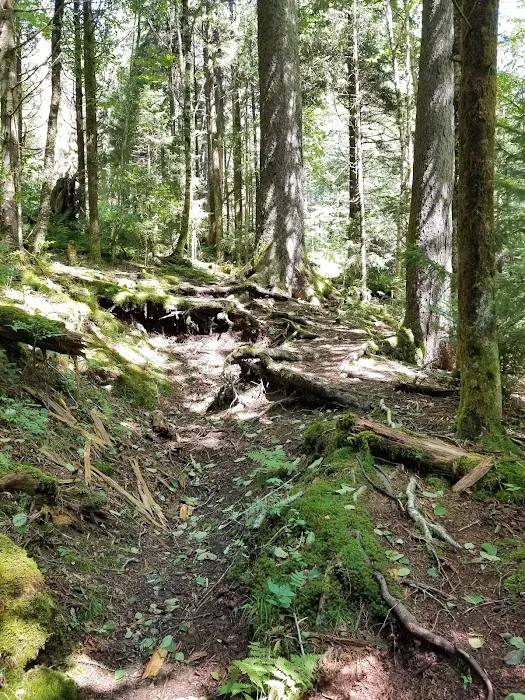 Backcountry Camp 42 9