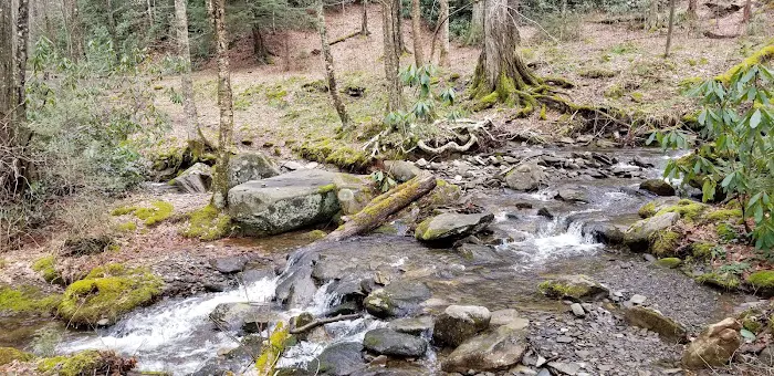 Backcountry Campsite #28 4