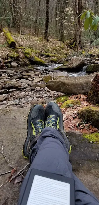Backcountry Campsite #28 1