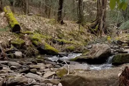 Backcountry Campsite #28