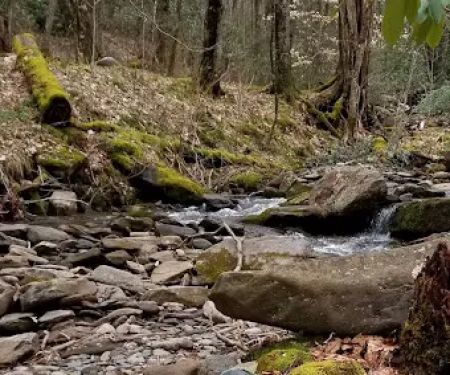 Backcountry Campsite #28