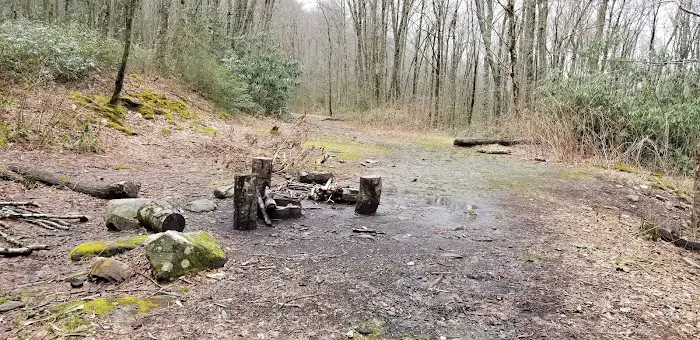 Backcountry Campsite #28 5