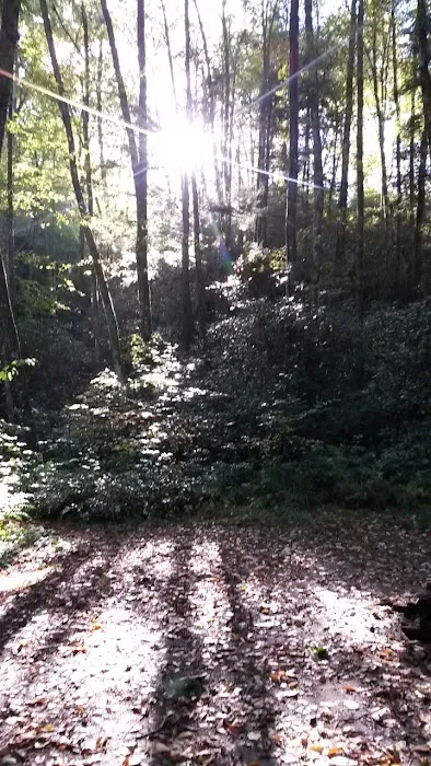Backcountry Camp 23 2
