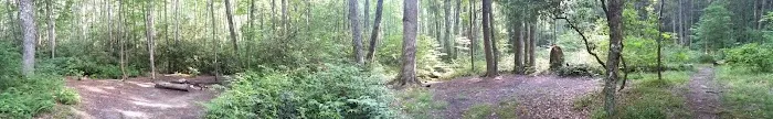 Backcountry Camp 23 6