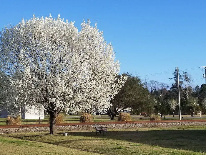 Saddlebrook Mobile Home Park 7