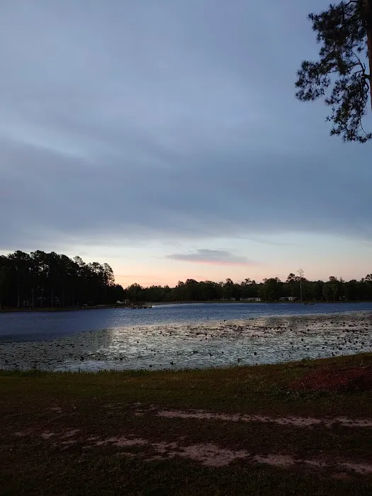 Williamson Mobile Estate & RV Park 7