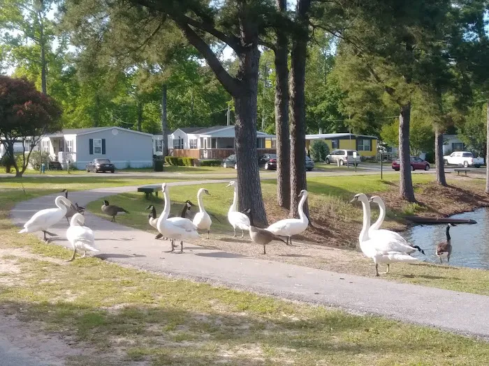Crystal Lake Mobile Home Village 7