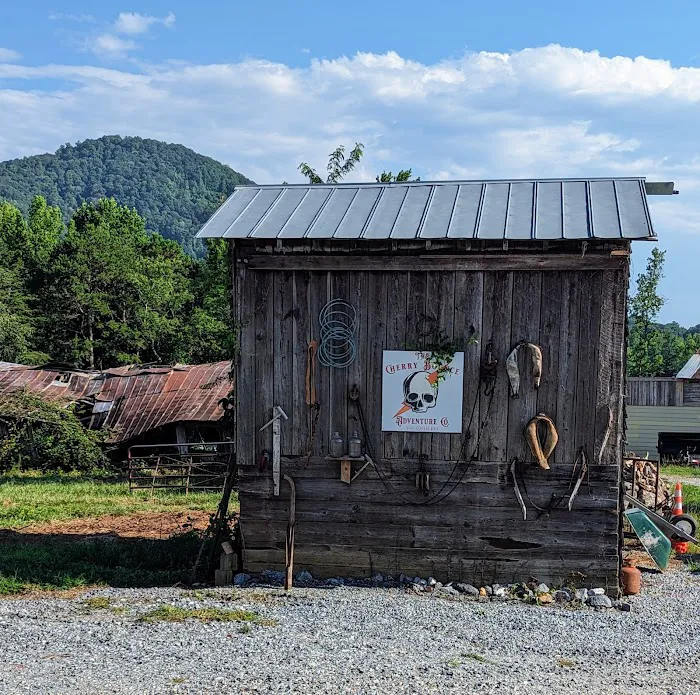 Cherry Bounce Adventure Co., Camping & ATV/SXS Resort 1