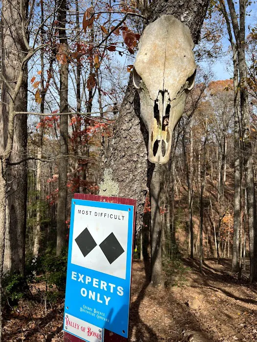 Cherry Bounce Adventure Co., Camping & ATV/SXS Resort 9