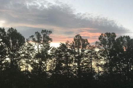 Shingle Hollow Congregational Holiness Camp Ground