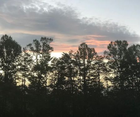 Shingle Hollow Congregational Holiness Camp Ground