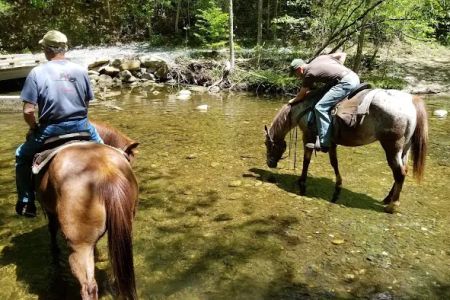 South Mountain Equestrian Campground