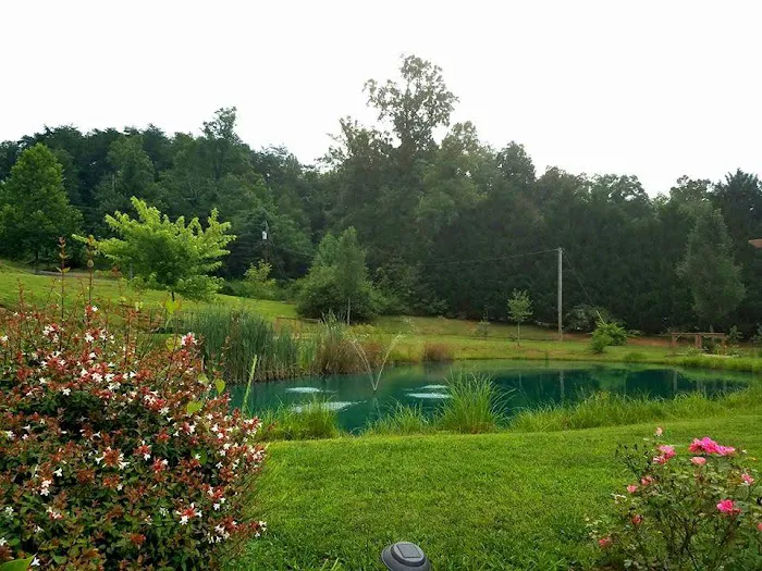 Indian Springs Campground 5