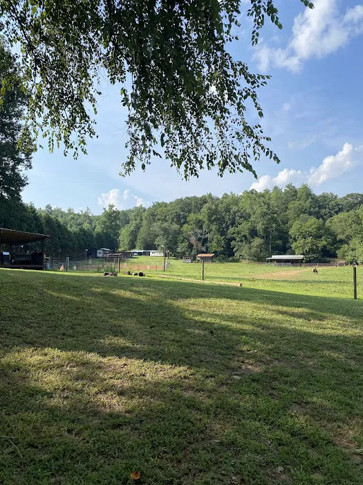 Indian Springs Campground 7