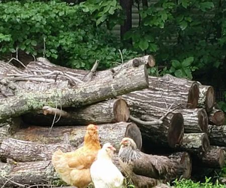 Private RV State Park Campground Site