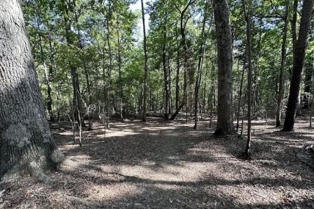 Lake Norman State Park Group Camp Sites