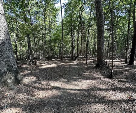 Lake Norman State Park Group Camp Sites