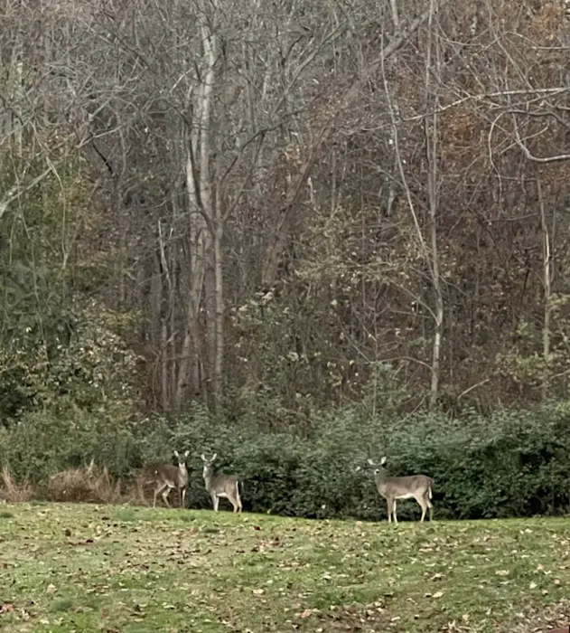 Statesville RV Park I-77 10