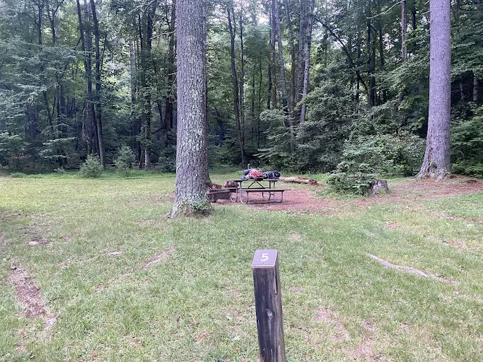 Upper Falls Backcountry Campground 1