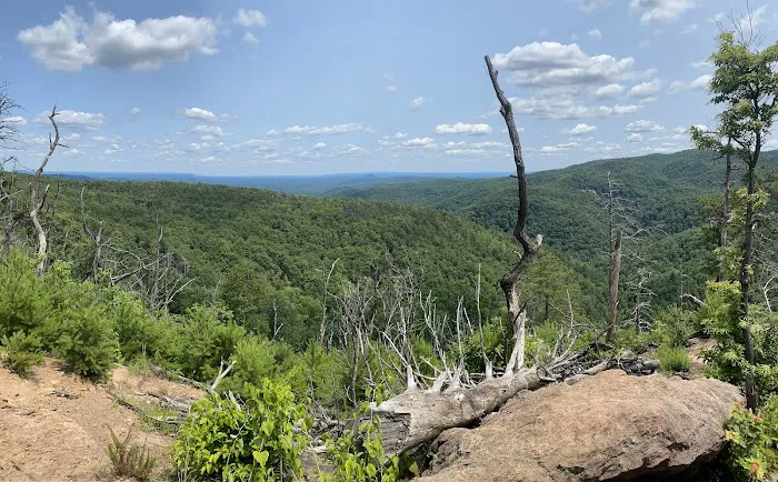 Upper Falls Backcountry Campground 3