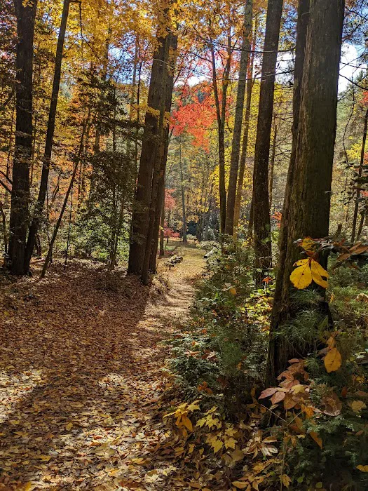 Upper Falls Backcountry Campground 5