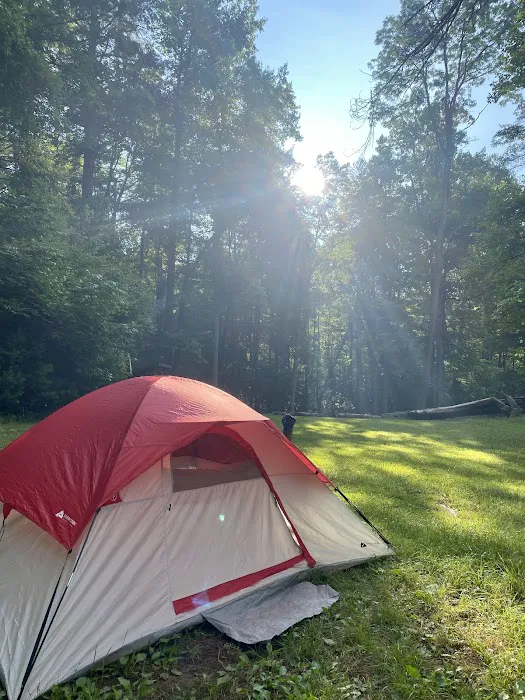 Upper Falls Backcountry Campground 4