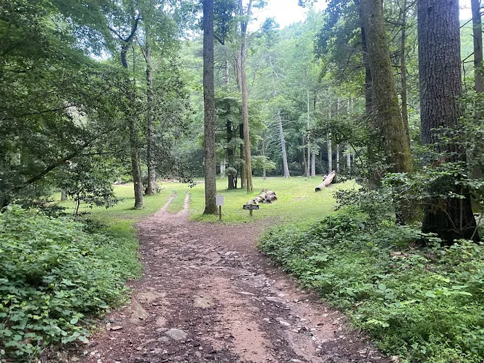 Upper Falls Backcountry Campground 8