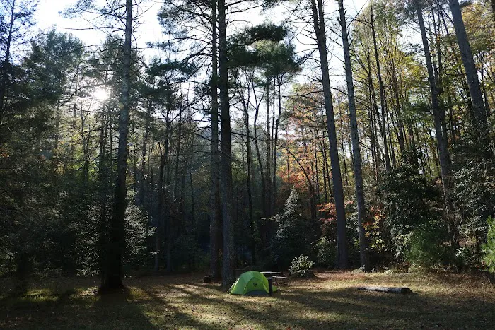 Upper Falls Backcountry Campground 6