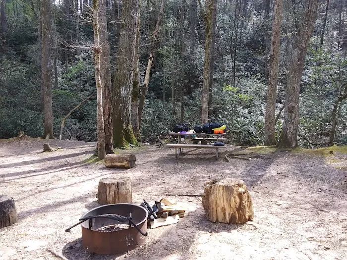 Shinny Creek Backcountry Campground 1