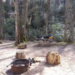 Shinny Creek Backcountry Campground