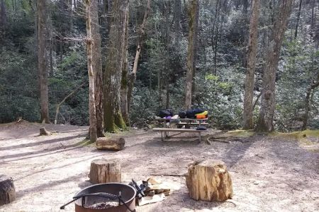 Shinny Creek Backcountry Campground