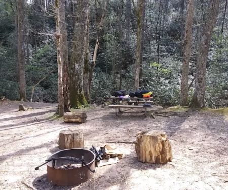Shinny Creek Backcountry Campground