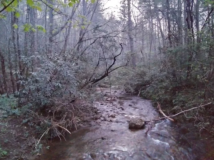 Shinny Creek Backcountry Campground 2