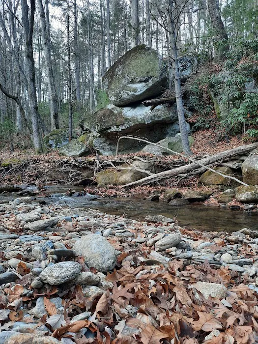 Shinny Creek Backcountry Campground 3