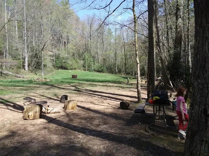 Shinny Creek Backcountry Campground 4