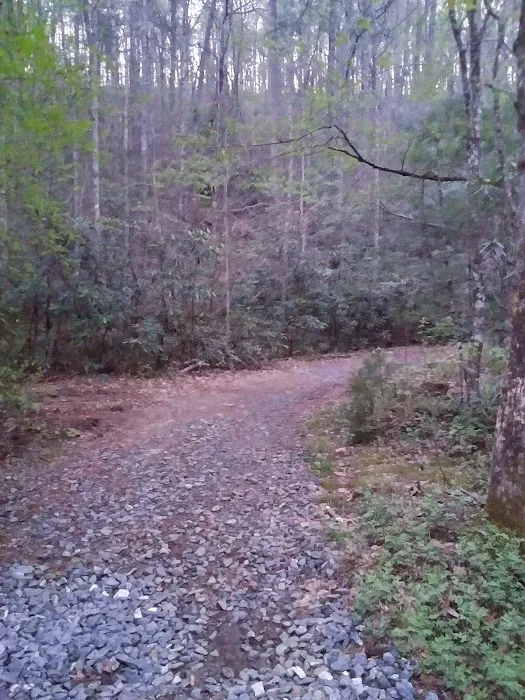 Shinny Creek Backcountry Campground 7