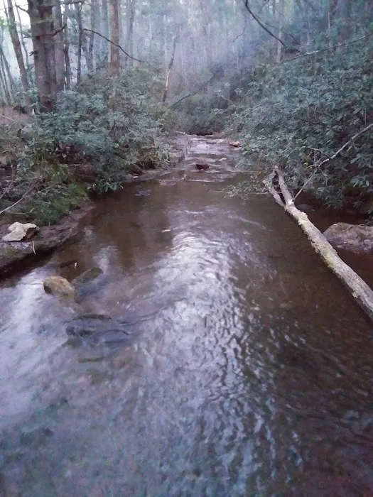 Shinny Creek Backcountry Campground 9