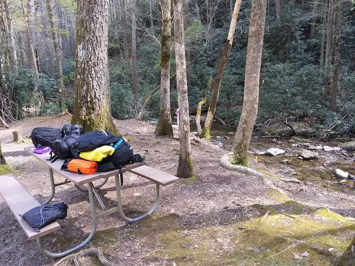 Shinny Creek Backcountry Campground 8