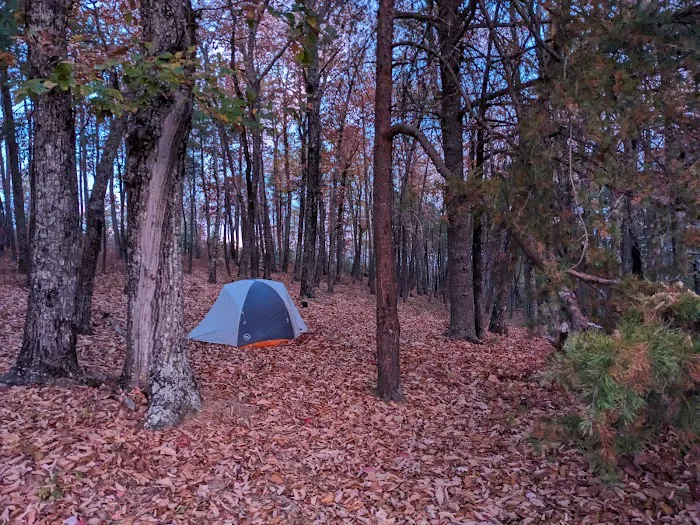 Sawtooth Backcountry Campground 3
