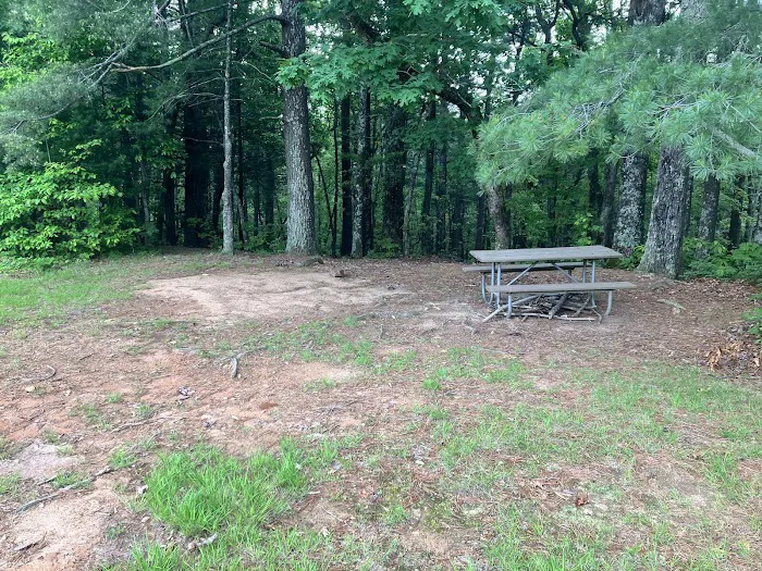 Sawtooth Backcountry Campground 10