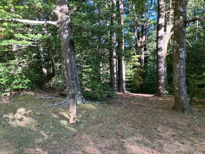 Jacob Branch Backcountry Campground 2