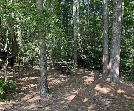 Jacob Branch Backcountry Campground