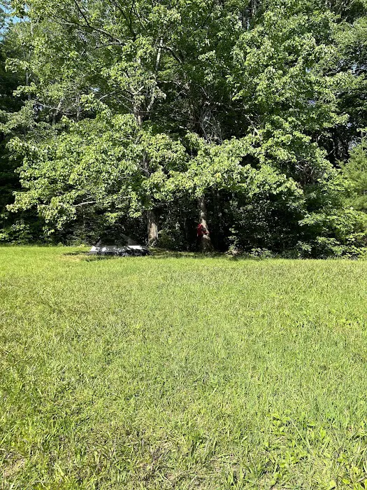 Jacob Branch Backcountry Campground 5
