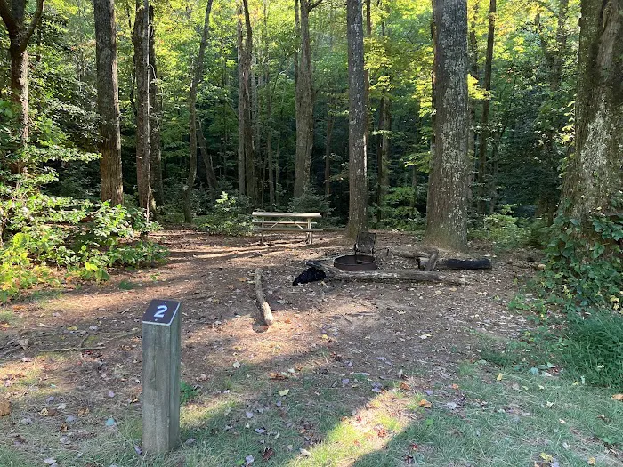 Jacob Branch Backcountry Campground 6