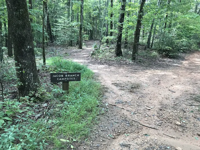 Jacob Branch Backcountry Campground 7