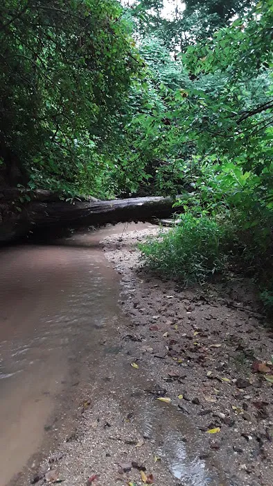 Cottage Cove 6