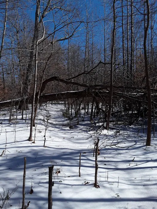 Cottage Cove 9